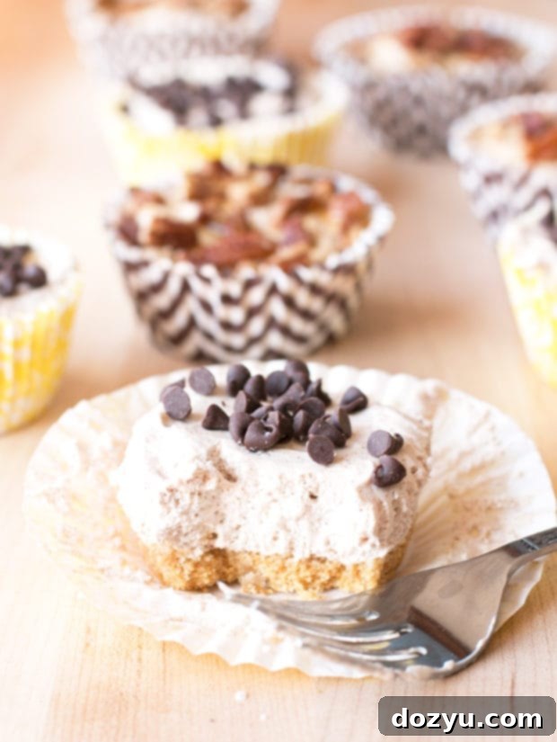 Assortment of Mini No-Bake Pumpkin Spice Cheesecakes with various toppings