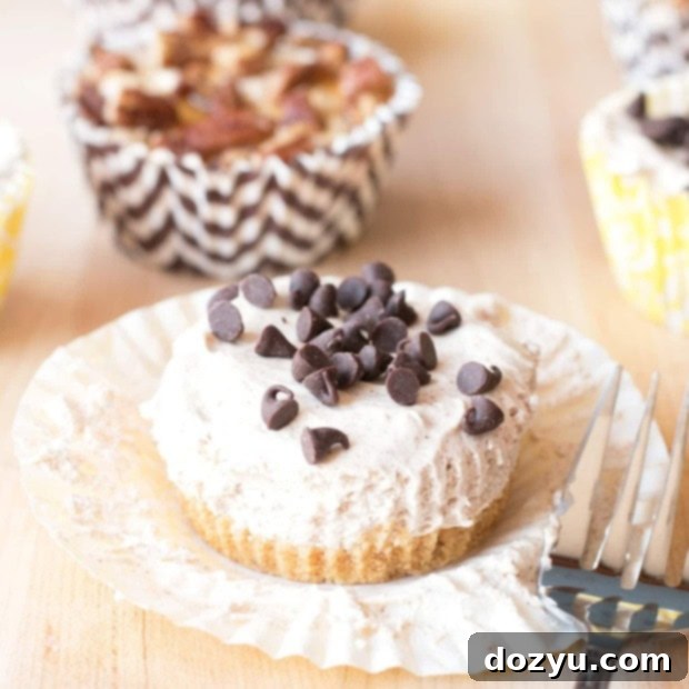 Mini No-Bake Pumpkin Spice Cheesecakes with Caramel and Chocolate toppings
