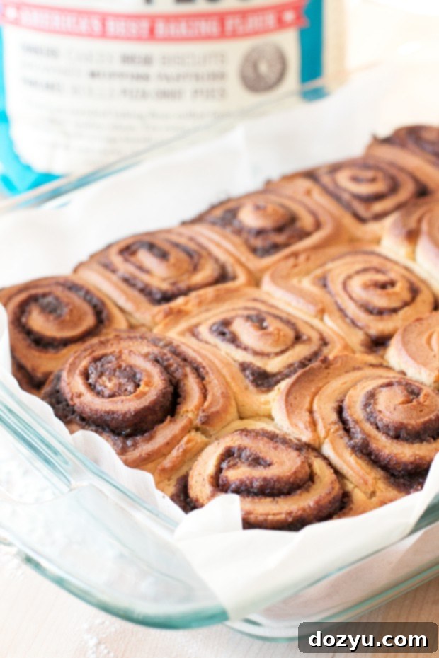 Overhead shot of Egg Nog Cinnamon Rolls in a rustic baking dish