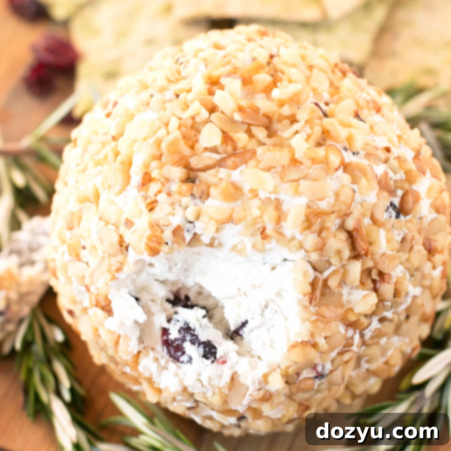 Cranberry Walnut Goat Cheese Ball | cakenknife.com