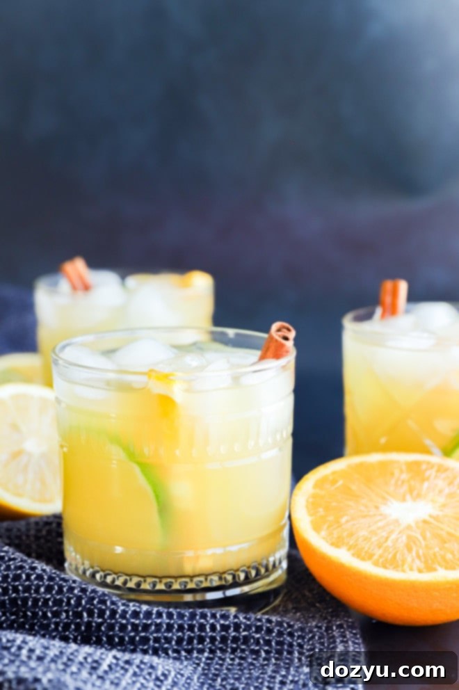party cocktail in glasses with spices