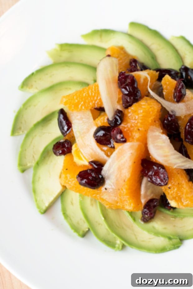 Vibrant Fennel Avocado Salad 2 Bright and refreshing Avocado Fennel Salad with cranberries and oranges, perfect for holidays