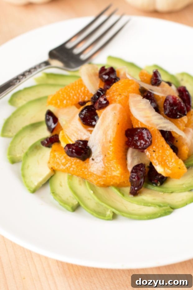 Vibrant Fennel Avocado Salad 5 Avocado Fennel Salad ready to be served on a pristine white plate