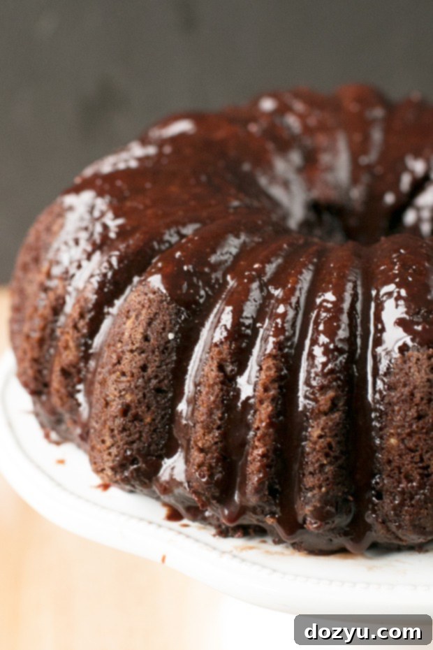 Velvet Avocado Dark Chocolate Chip Cake 2 Dark Chocolate Chip Avocado Cake | cakenknife.com