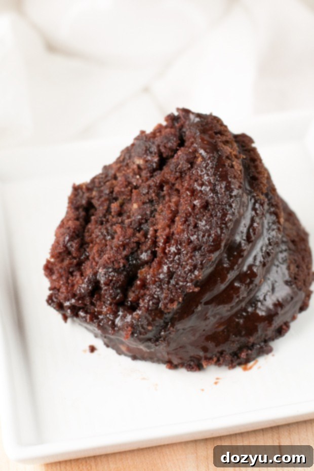 Velvet Avocado Dark Chocolate Chip Cake 5 Dark Chocolate Chip Avocado Cake | cakenknife.com