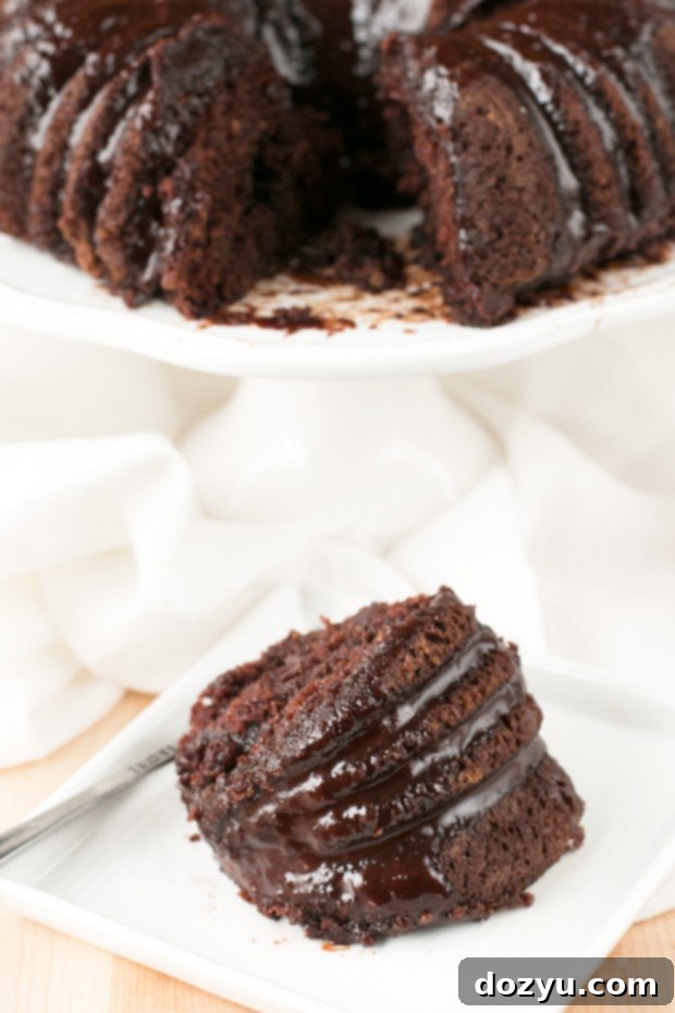 Velvet Avocado Dark Chocolate Chip Cake 6 Dark Chocolate Chip Avocado Cake | cakenknife.com