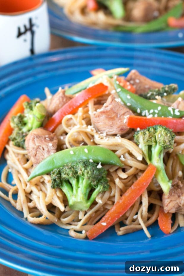 Stir Fry Pasta with vibrant vegetables and chicken, ready to serve.