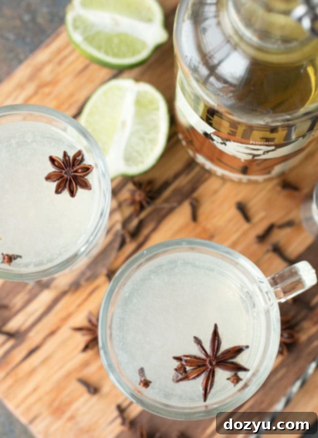 Toasted Hazelnut Rum Warmer 3 Close-up of a Hot Hazelnut Rum Cocktail in a ceramic mug, garnished with whole spices like star anise and cloves.