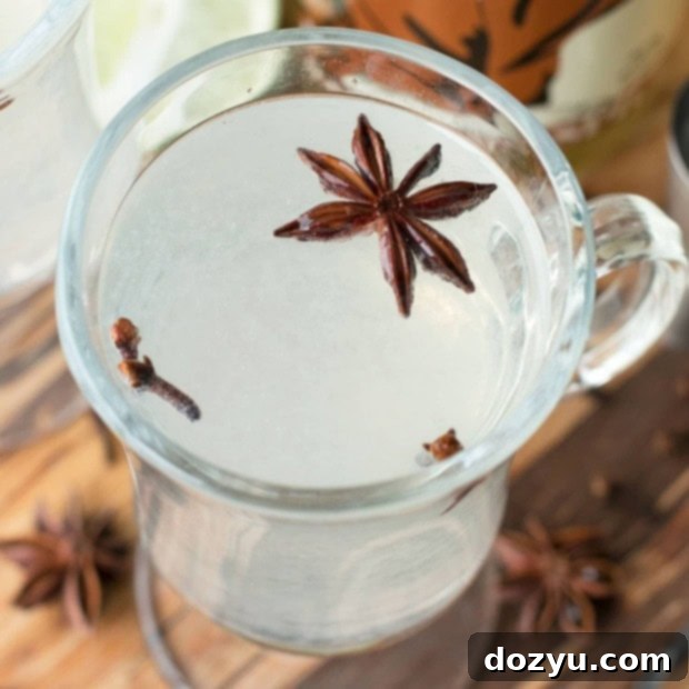 Toasted Hazelnut Rum Warmer 7 Hot Hazelnut Rum Cocktail served in a mug with spices.