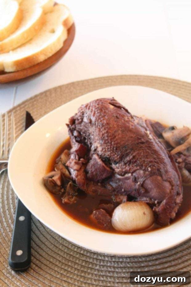 A top-down view of Coq Au Vin, featuring chicken pieces, pearl onions, and mushrooms swimming in a rich red wine sauce.