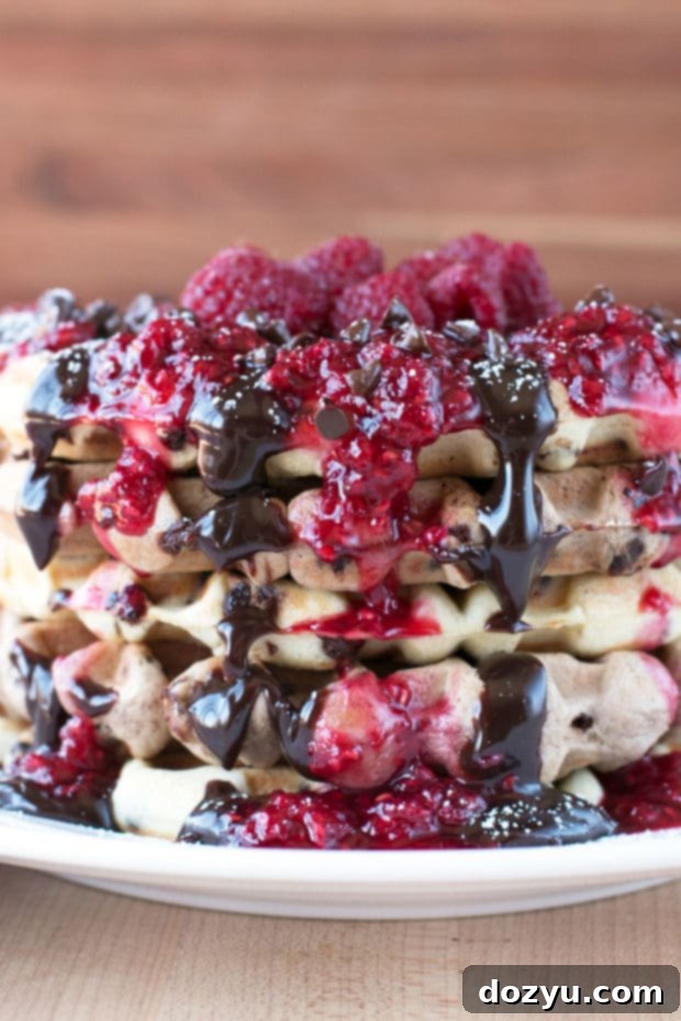 Decadent Double Chocolate Chip Raspberry Waffles 5 Double Chocolate Chip Raspberry Waffles | cakenknife.com #brunch #breakfast