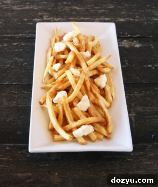 Traditional Poutine with Fries, Gravy, and Cheese Curds