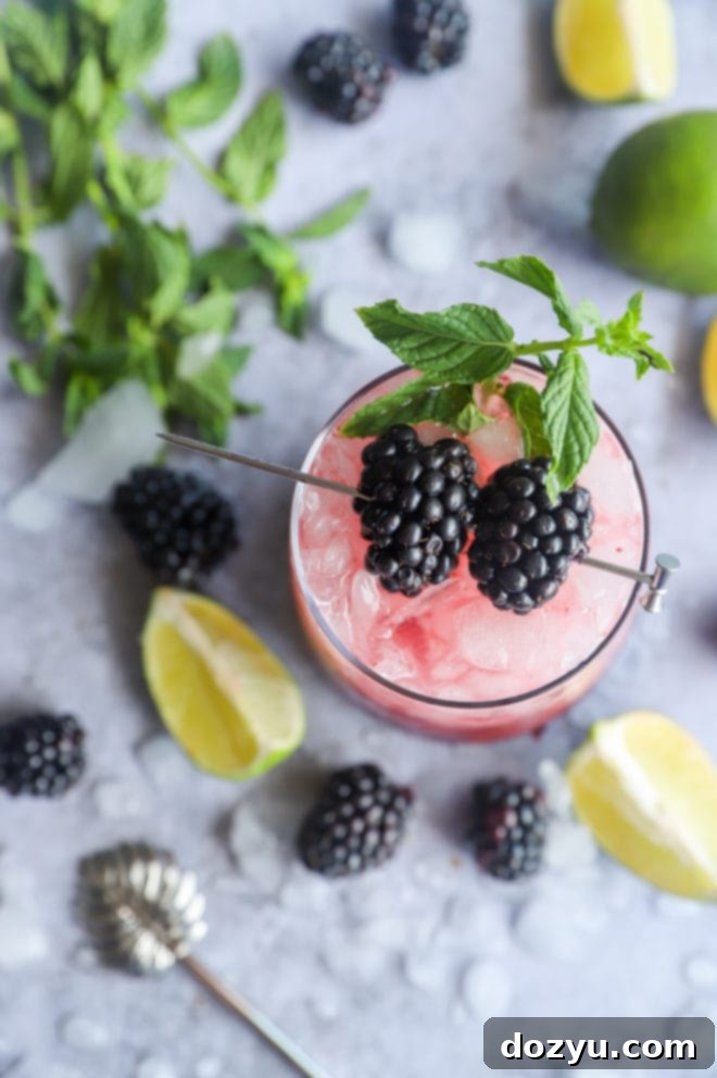 Blackberry Mint Mojito 9 Overhead blackberry mojito photo