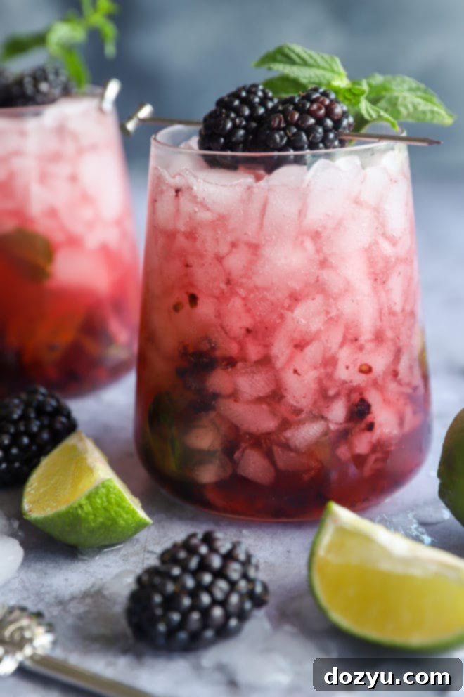 Blackberry Mint Mojito 3 Side photo of blackberry mojito