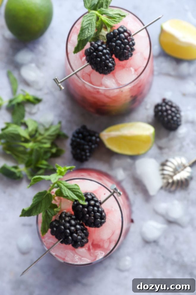 Blackberry Mint Mojito 4 Overhead photo of blackberry cocktails