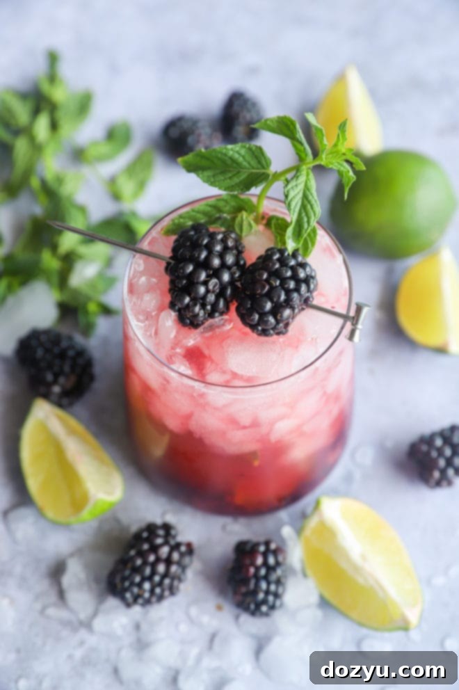 Blackberry Mint Mojito 7 Blackberry mojito photo with mint