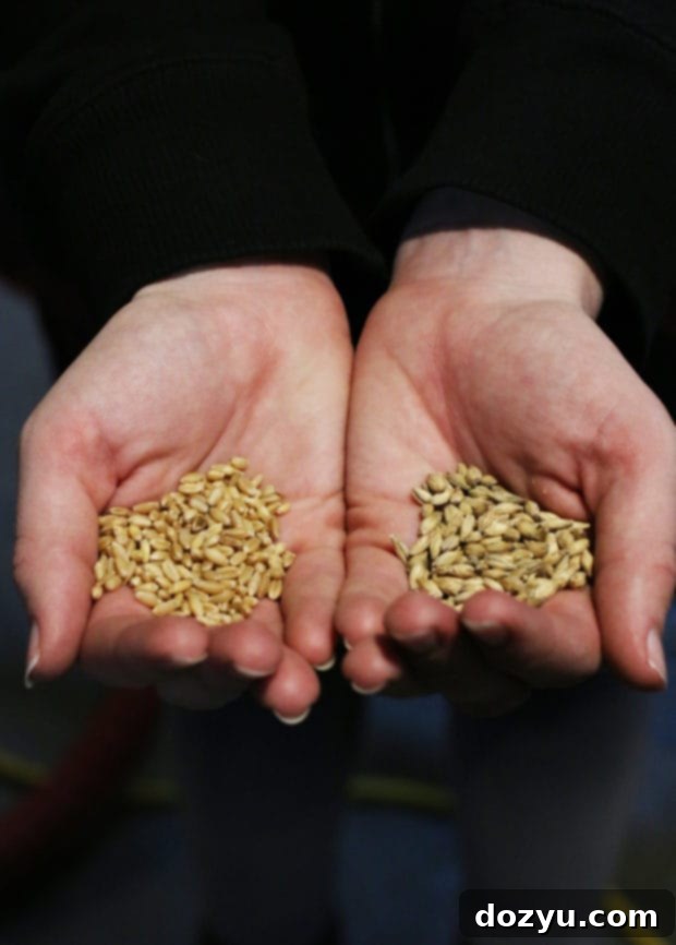 A selection of distinct craft beers at Black Project Spontaneous & Wild Ales