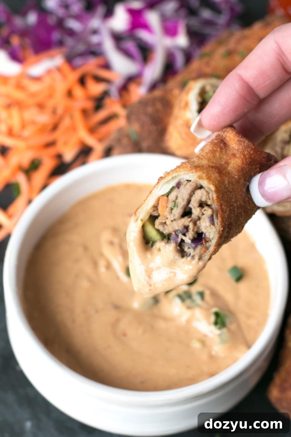 Thai Turkey Avocado Egg Rolls served with peanut dipping sauce