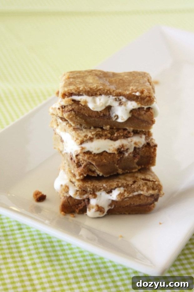 Reese's S'mores Bars recipe photo