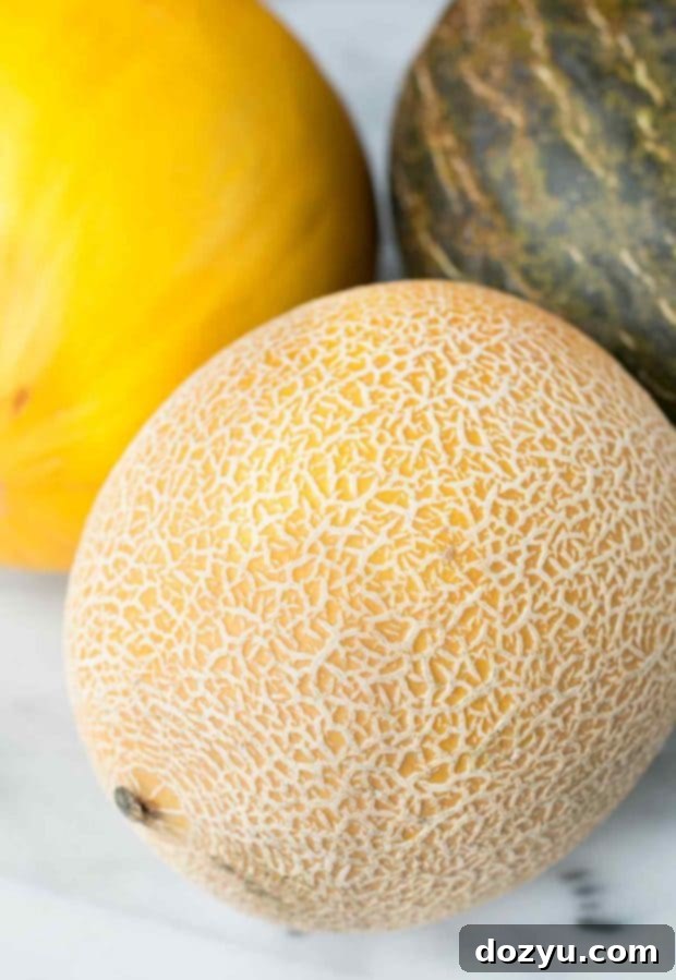 Refreshing Melon Sangria 5 Ingredients for Melon Sangria, including various melons