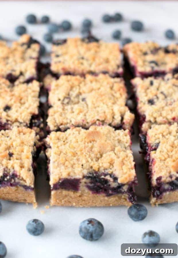 Close-up of a blueberry pie crumb bar slice, showcasing the fruit filling and crumb topping