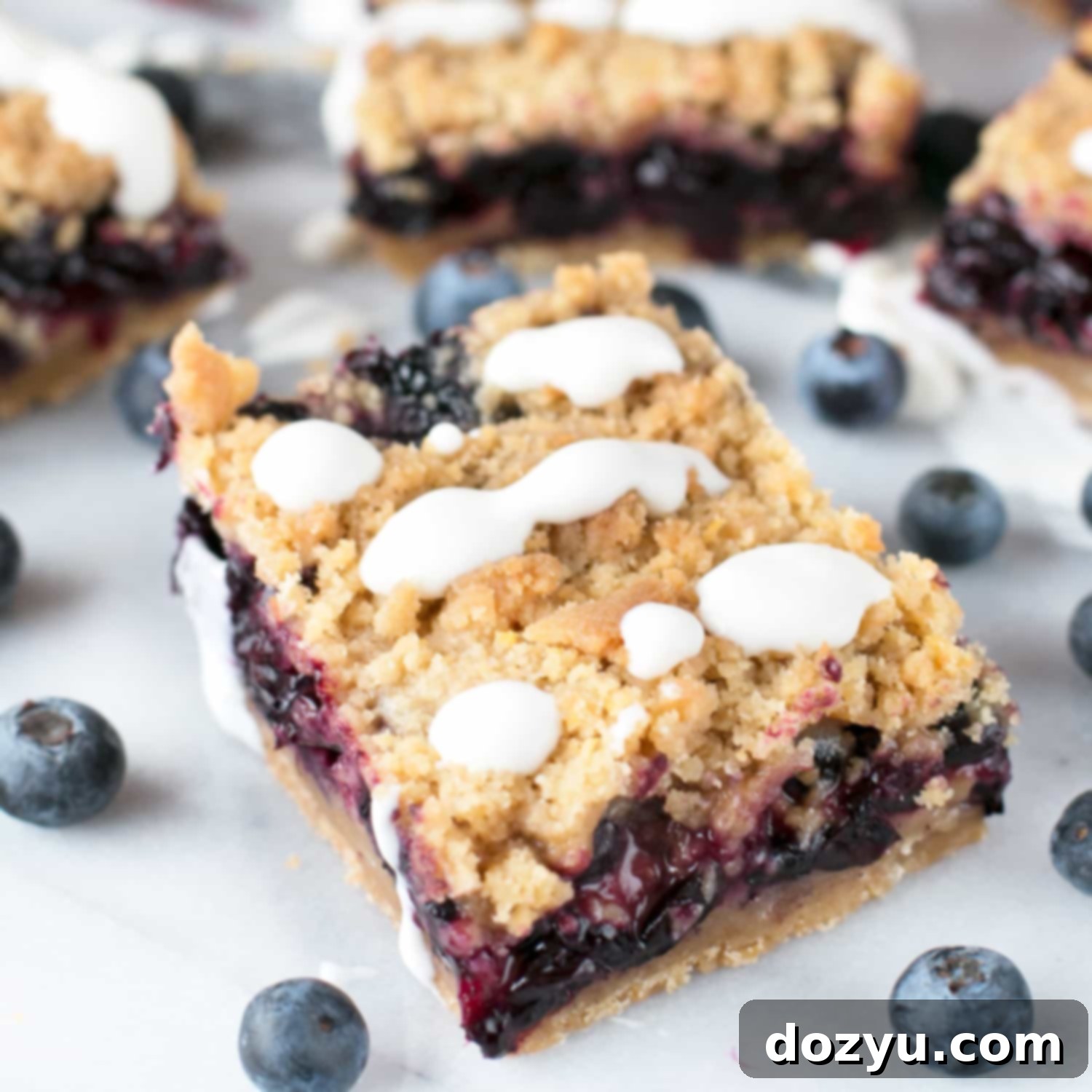 Blueberry Pie Crumb Bars, a delightful summer dessert recipe