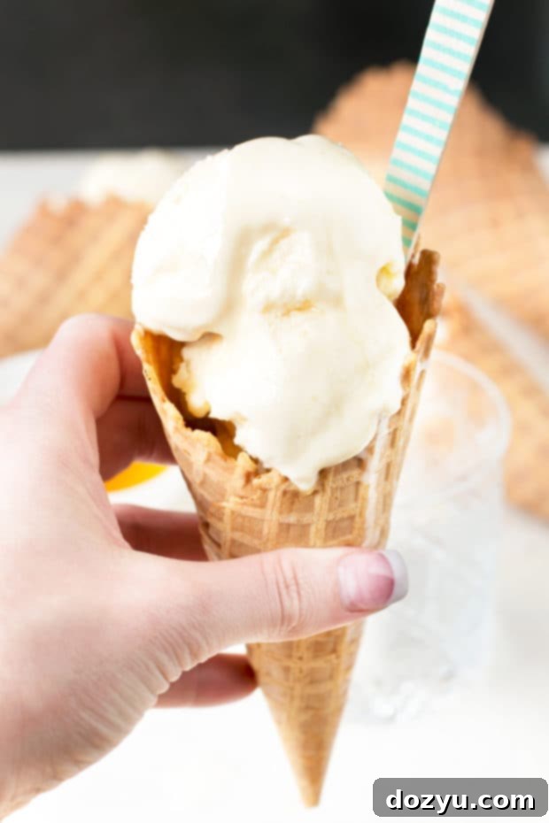 Honeycomb Ice Cream | cakenknife.com #icecream #honey #dessert