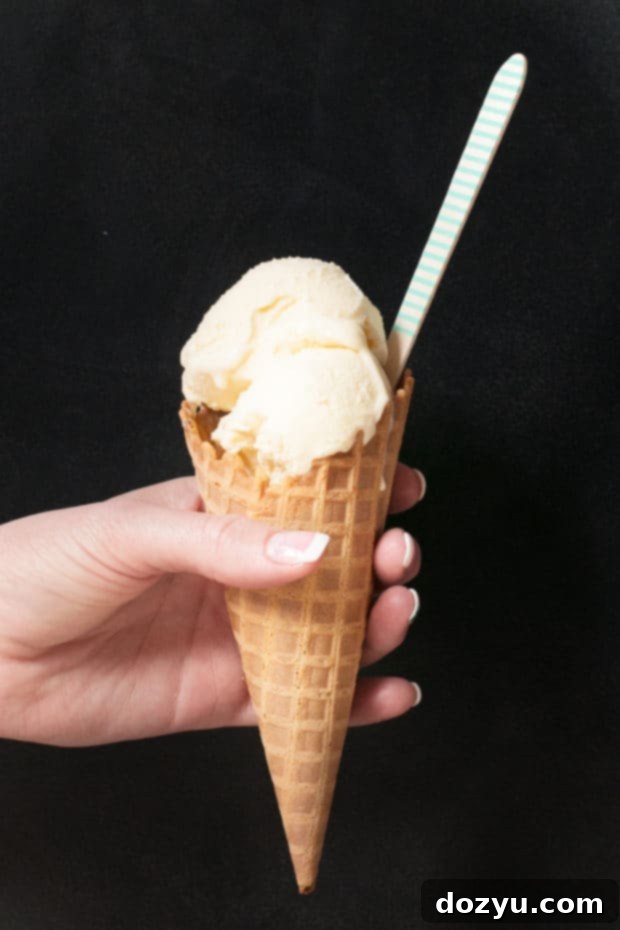 Honeycomb Ice Cream | cakenknife.com #icecream #honey #dessert