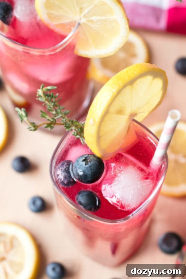Close-up of Sparkling Blueberry Thyme Vodka Lemonade with ice and garnishes, highlighting its refreshing qualities.