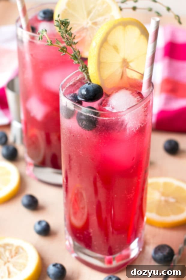 Garnished glass of Sparkling Blueberry Thyme Vodka Lemonade, showcasing fresh fruit and herbs.