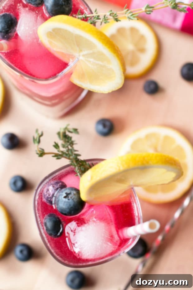 A high-angle shot of a refreshing Sparkling Blueberry Thyme Vodka Lemonade cocktail with garnishes.