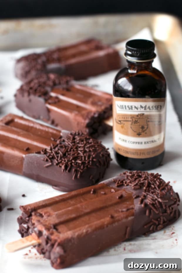 Closeup of a Dark Chocolate Dipped Mocha Popsicle with sprinkles.