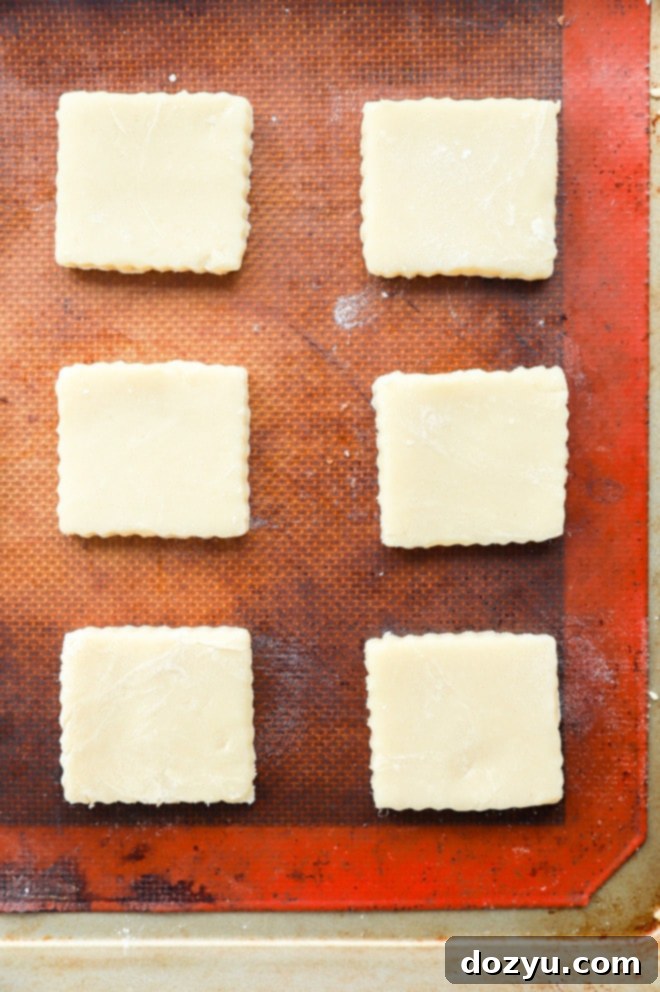 Buttery Shortbread Enrobed in Milk Chocolate 5 cut out holiday cookies on baking sheet