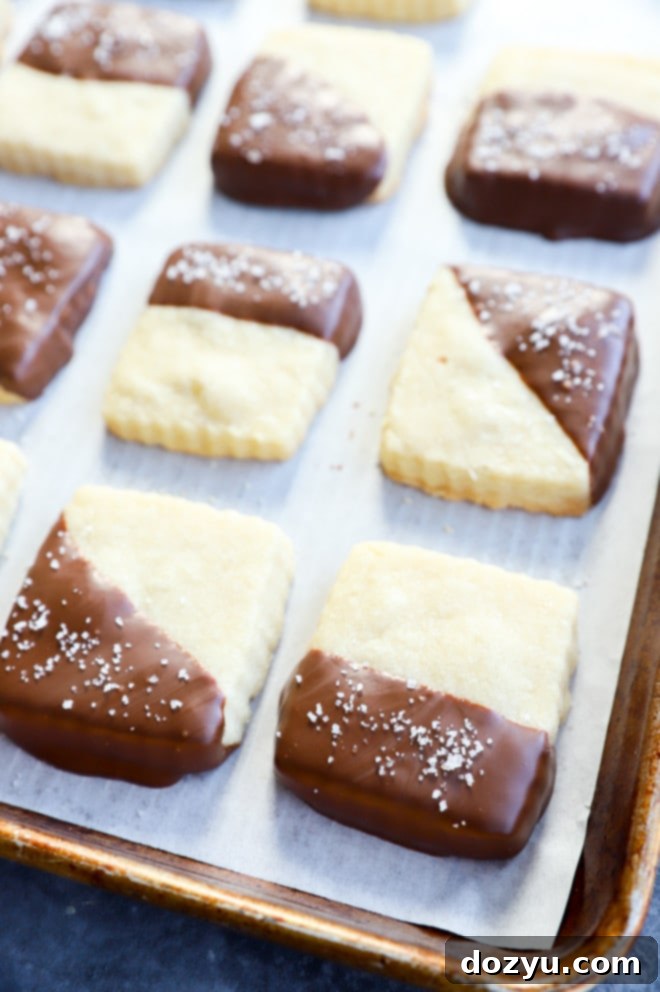 Buttery Shortbread Enrobed in Milk Chocolate 6 img 2685 5