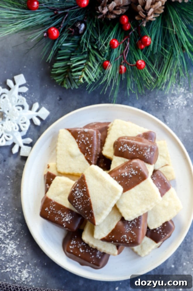 Buttery Shortbread Enrobed in Milk Chocolate 10 Milk chocolate dipped shortbread cookies plate