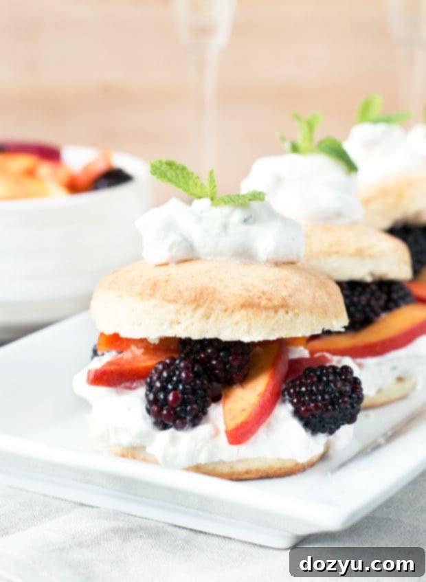 Blackberry Peach Shortcake Stacks with Mint Whipped Cream | Close up of fresh fruit on a shortcake biscuit.