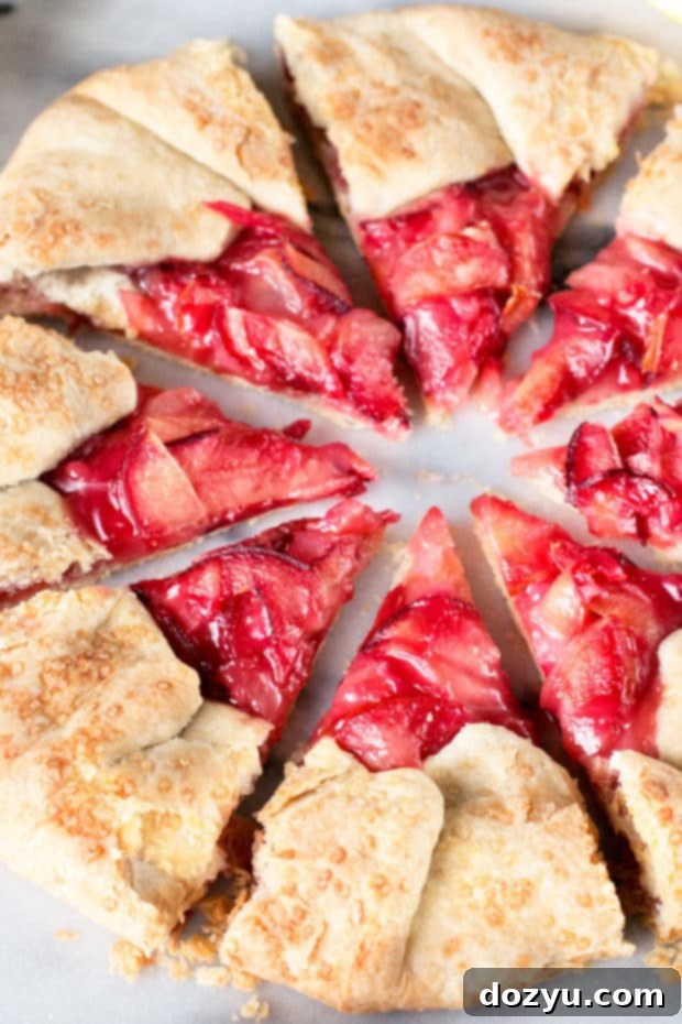 A slice of Rustic Pluot Lemon Galette served with a scoop of vanilla ice cream, ready to enjoy.