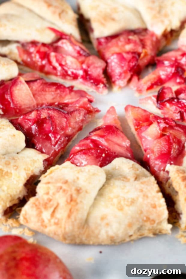 Overhead view of a finished Rustic Pluot Lemon Galette, perfect for sharing.