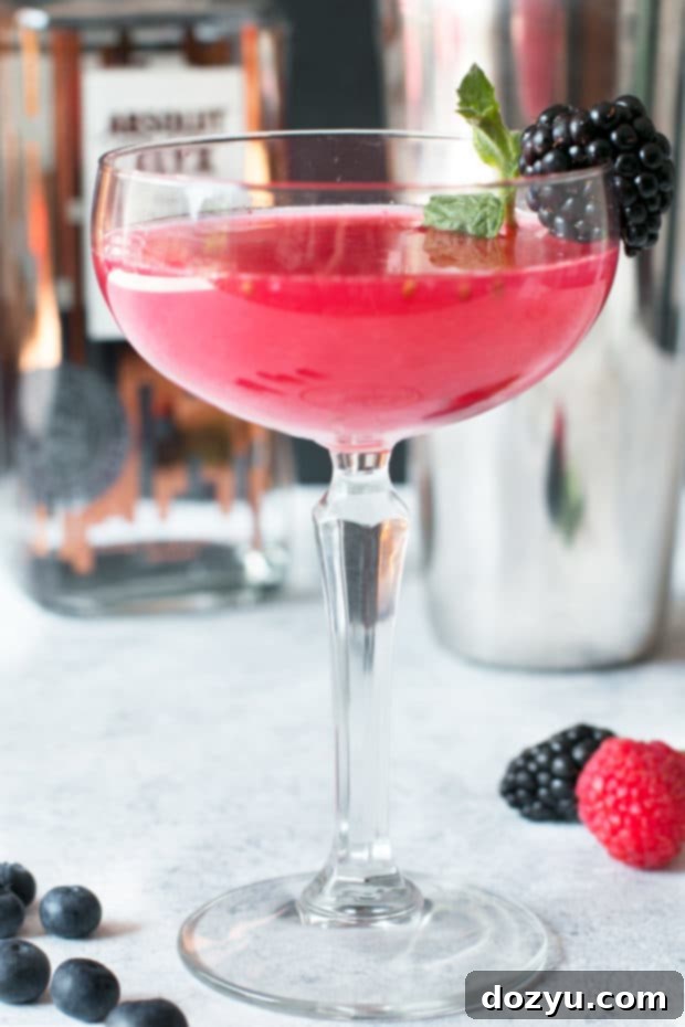 Absolut Elyx Wild Berry Vesper | cakenknife.com #sponsored #cocktail #happyhour