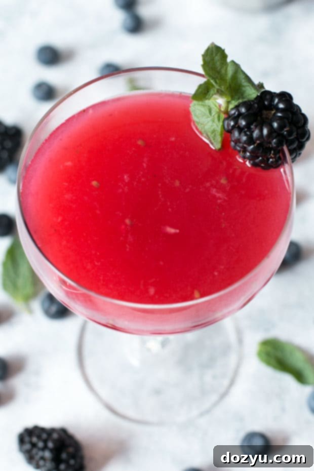 Absolut Elyx Wild Berry Vesper | cakenknife.com #sponsored #cocktail #happyhour