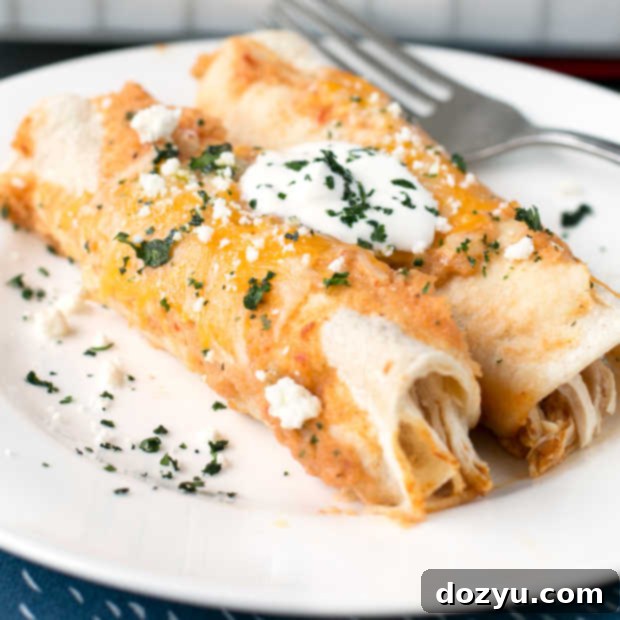 Curry Chicken Enchiladas | cakenknife.com #weeknightdinner #dinner #enchiladas #mexican
