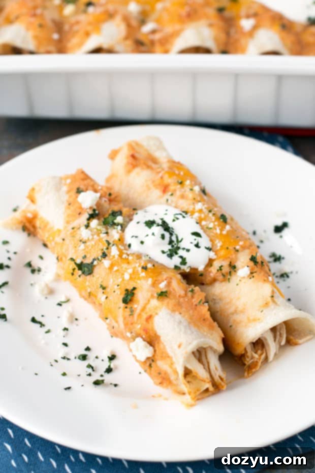 Freshly baked Curry Chicken Enchiladas | cakenknife.com #weeknightdinner #dinner #enchiladas #mexican