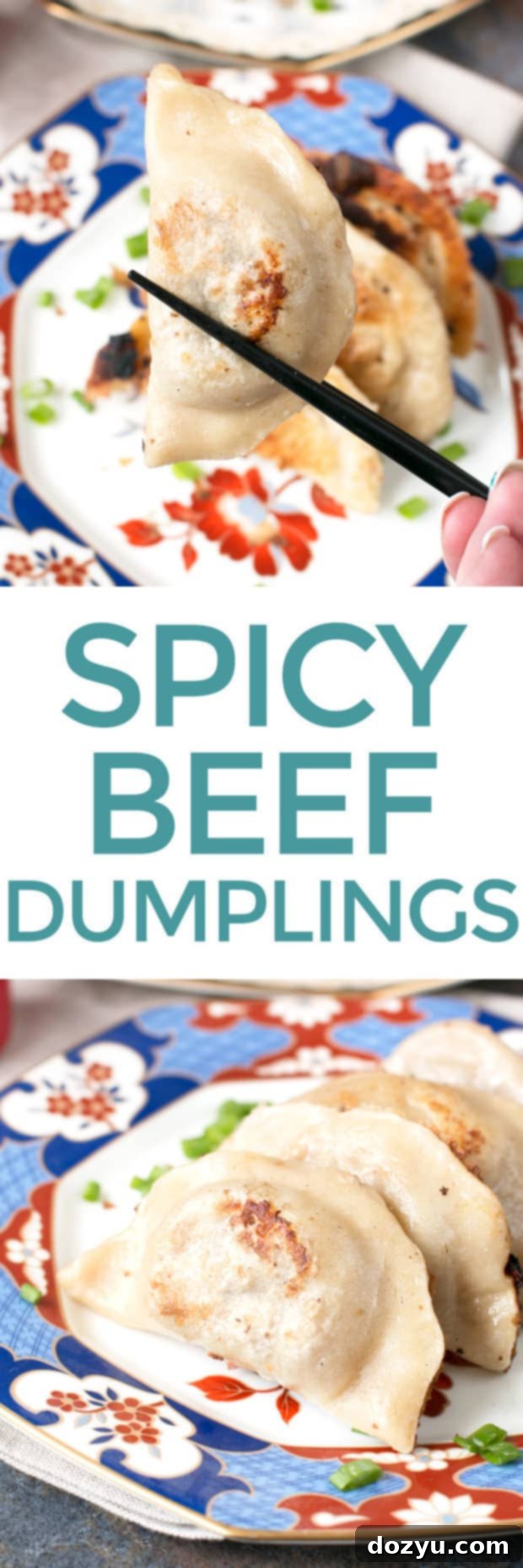 A vibrant Pinterest graphic promoting the Spicy Beef Dumplings recipe and a review of The Dumpling Galaxy Cookbook. Features enticing food photography and calls to action for Asian food lovers. | cakenknife.com #dumplings #recipepin #asianfoodlovers #cookbooks