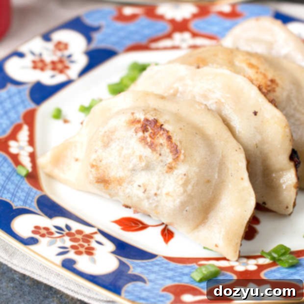 Spicy Beef Dumplings + cookbook review of The Dumpling Galaxy Cookbook | cakenknife.com #dumplings #recipe #asian