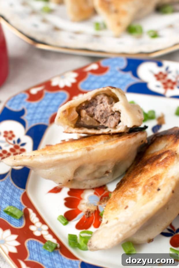 An open copy of The Dumpling Galaxy Cookbook showing a detailed, step-by-step photographic guide to folding dumplings. This visual aid is crucial for mastering homemade Asian cuisine. | cakenknife.com #dumplingcookbook #cookingguide #recipebook #helpeveryone