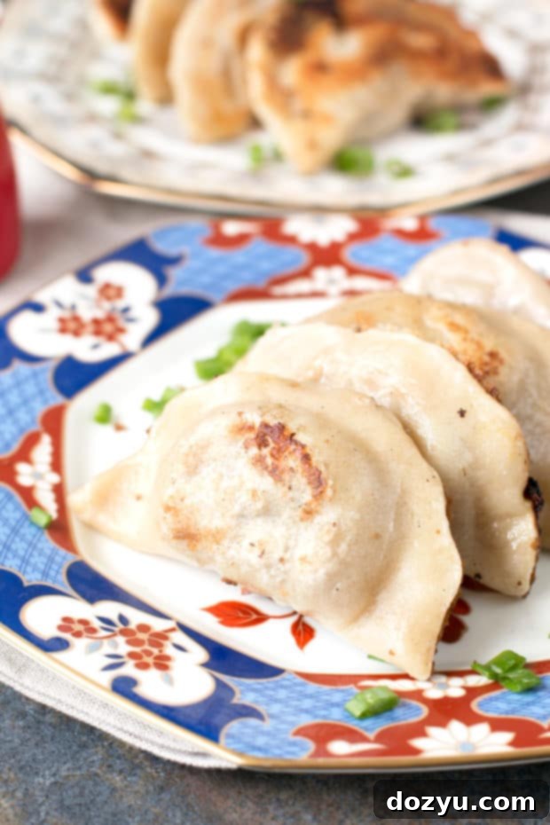 Golden-brown Spicy Beef Dumplings with perfectly crispy bottoms, artfully arranged on a plate with fresh scallions, embodying the delicious results of homemade Asian cuisine. | cakenknife.com #crispydumplings #spicybeef #dinnerrecipe #asianfood