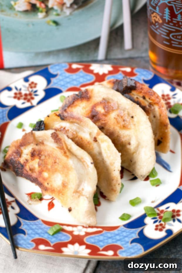 A beautifully plated serving of crispy Spicy Beef Dumplings, garnished with fresh herbs, showcasing a perfect appetizer or meal ready to be enjoyed. Ideal for showcasing homemade Asian cuisine. | cakenknife.com #dumplingsathome #easyasianrecipe #foodphotography #dinnerideas