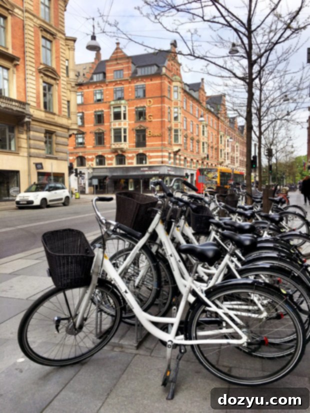 Copenhagen's Flavors: A 48-Hour Foodie Itinerary 25 Bicycles parked along a scenic street in Copenhagen