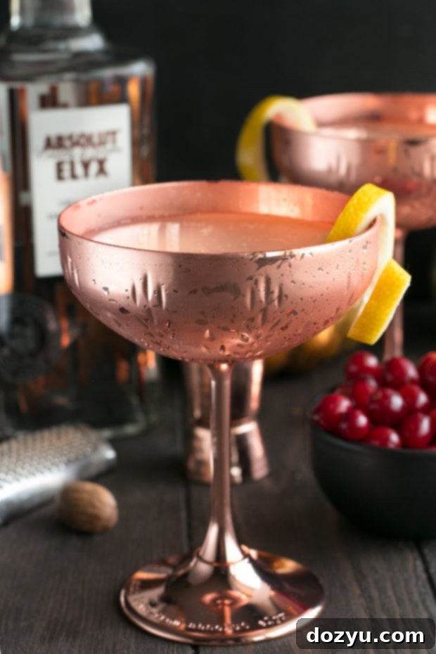 Absolut Elyx Ginger Martini with Drunken Cranberries, a vibrant and festive cocktail, perfectly chilled in a martini glass, ready for holiday celebrations.