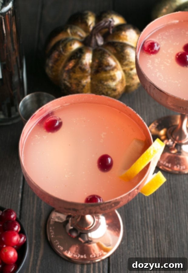 Close-up of a hand holding an Absolut Elyx Ginger Martini, showcasing the smooth vodka and elegant presentation with festive cranberries.